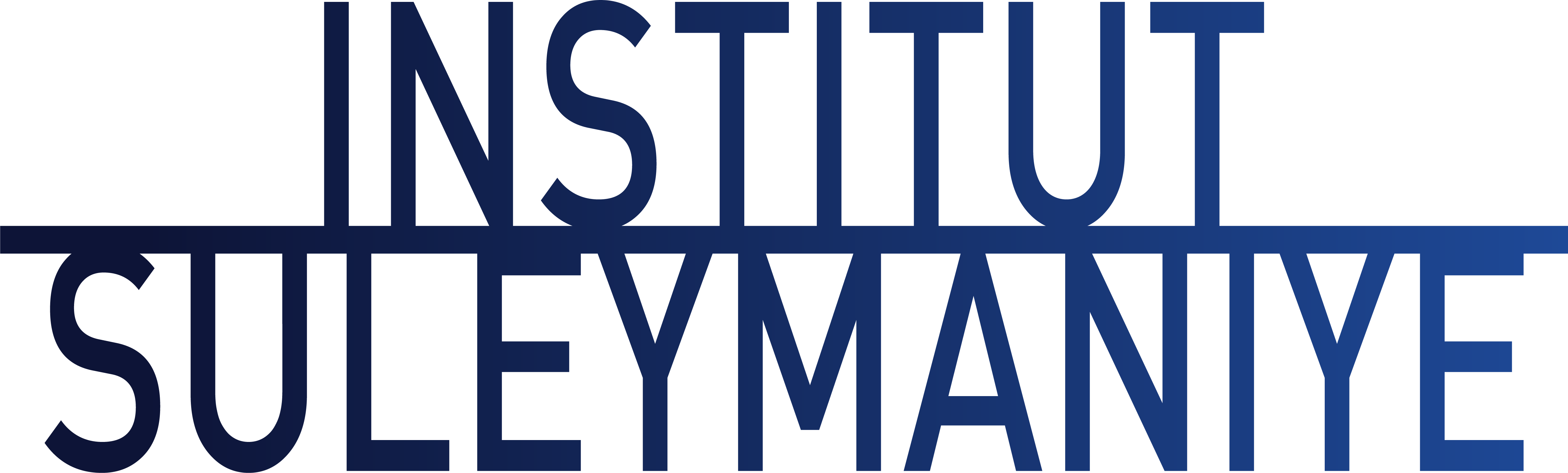 Institut Suleymaniye Logo
