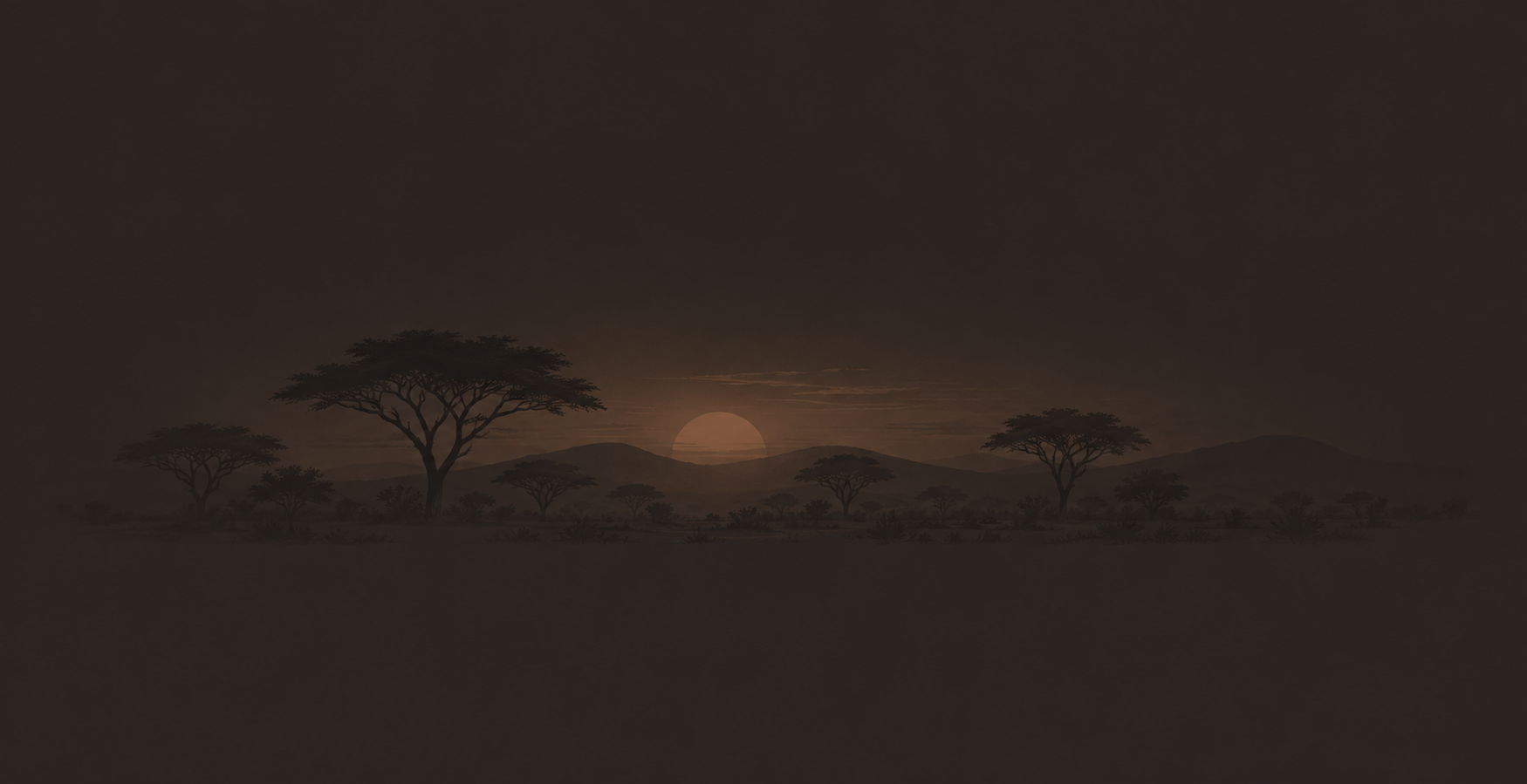 Afrika savanında gün batımı ve akasya ağaçları